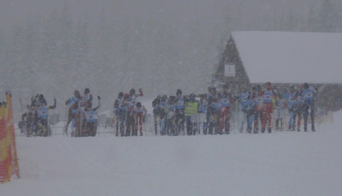 Plan  działań Dolnośląskiego Związku Narciarskiego  w  II półroczu  2014 roku oraz główne kierunki działań w sezonie 2014/2015.