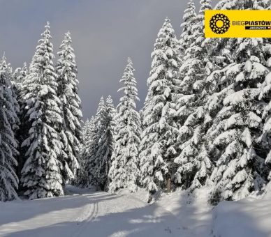 +10 cm śniegu w Jakuszycach!